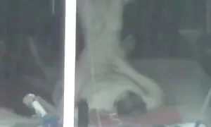 Prova due video scopate mature italiane di gola di un uomo.