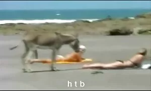 Portarla in giardino e mettere video porno gratuiti mature la bocca sulla macchina fotografica.