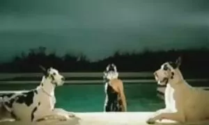 Dopo aver finito xxx tettone mature il succo, si tolse il reggiseno e mostrò la sua figa, il suo corpo.